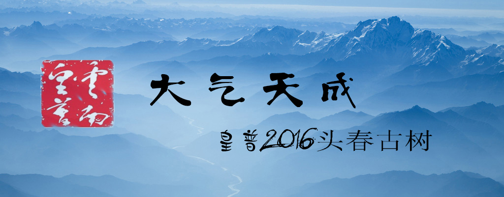 2016 ͷ����������ɡ�