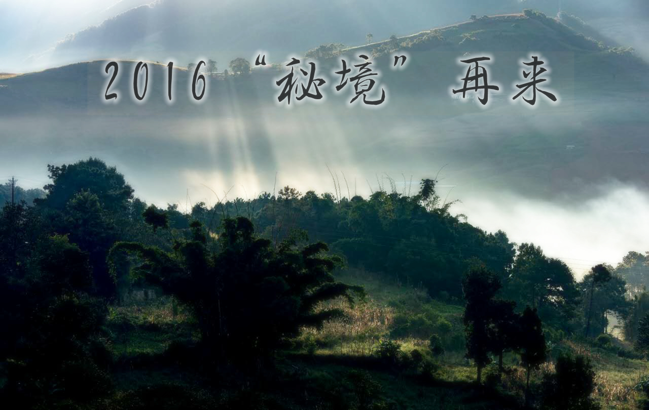 2016���ؾ�������